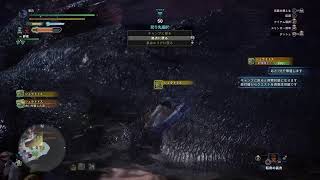 MHW:Iをそれとなくプレイpart9(１人でフリーを)