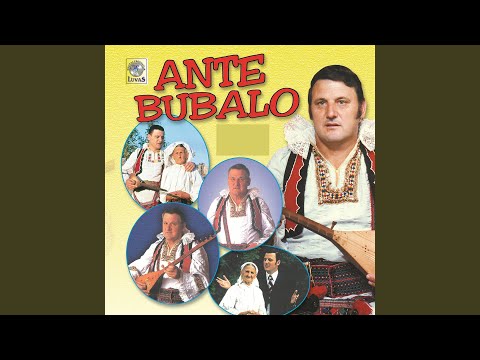 Zdravo Bosno evo mene