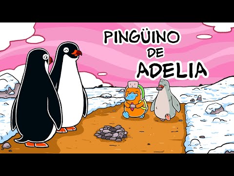 Hola Flinko - Pingüinos de Adelia / Capítulo 8 Completo Temporada 1