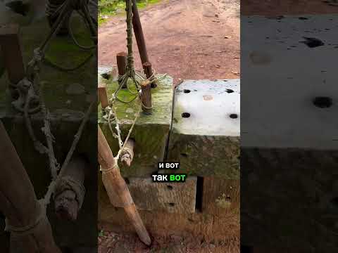 Видео о Камбодже