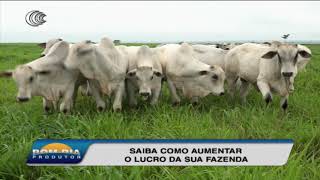 Miniatura do vídeo