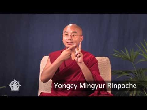 Two Forms of Suffering