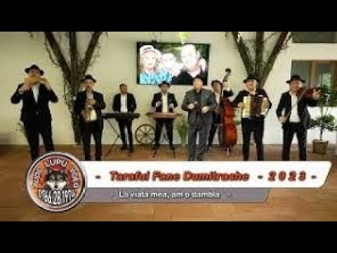 Taraful Fane Dumitrache - La viata mea, am o dambla