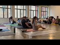 Malinois Puppies At Puppy Yoga