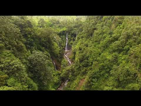 65. Tropical Rainforest Dawn – Gibbons & Birds | 熱帶雨林晨曲：長臂猿與群鳥 (3H)
