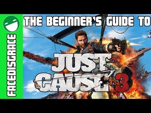 The Beginner's Guide