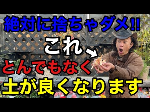 【ちょっと待った！】これ植物の病気を防ぐとんでもない効果があります　　　　　　　【園芸】【ガーデニング】【初心者】