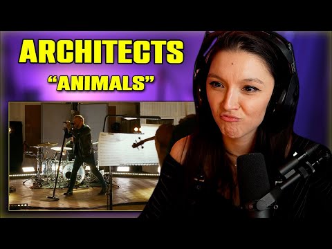 Architects - "Animals" | FIRST TIME REACTION | (Orchestral Version) - Live at Abbey Road