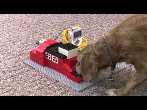 Dog using LEGO MINDSTROMS Pet Feeder