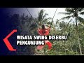 Wisata Swing Di Bali Diserbu Pengunjung