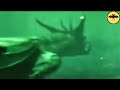 6 Mysterious Underwater Creatures Caught On Tape.