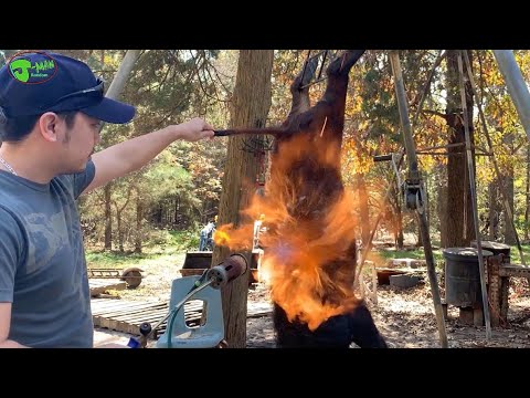 How to Clean a Wild Hog