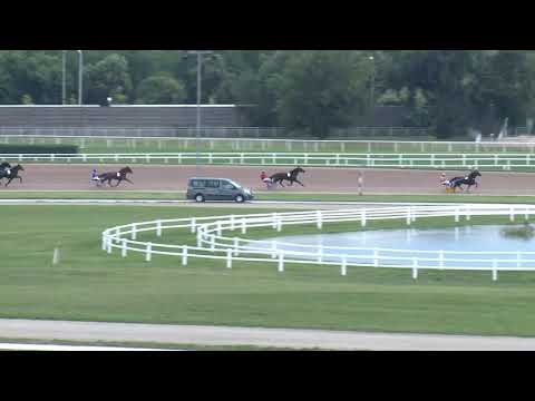 2018.06.29. 02. futam - BELAMI DÍJ