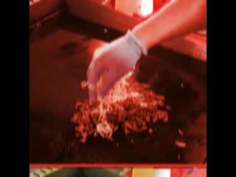 download lagu mp3 mp4 Mula Terca s, download lagu Mula Terca s gratis, unduh video klip Mula Terca s