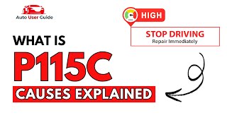 Interpretação p115c BMW