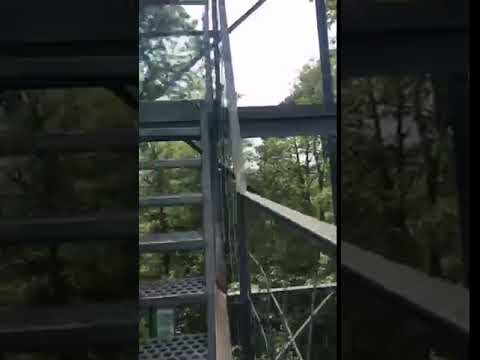 Fire tower