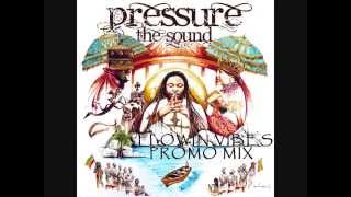 FLOWIN VIBES - ALBUM PROMO MIX (PRESSURE - THE SOUND / I GRADE RECORDS 2014)