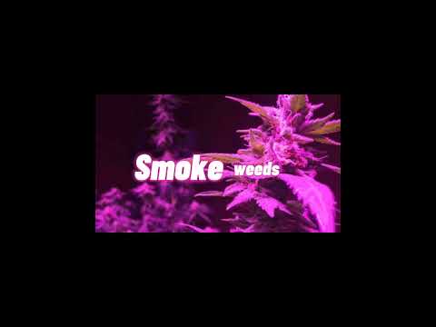 Jeff Grecia //playlist song