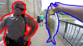 Catching The FIRE Out Of American Shad! | All Day Trip!