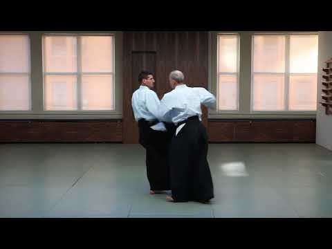 Gary Snyder Sensei - Aikido Techniques against Kicks