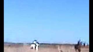 Download the video "What mexicans do 1 (yeah we lost haha)"