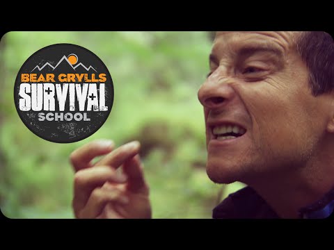 Bear Grylls Survival School: Eating Mealworms