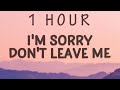 1 HOUR SLANDER I M Sorry Don T Leave Me I Want You Here With Me Lyrics Love Is Gone