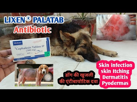 Veko Goclin 300mg (Clindamycin) Tablet