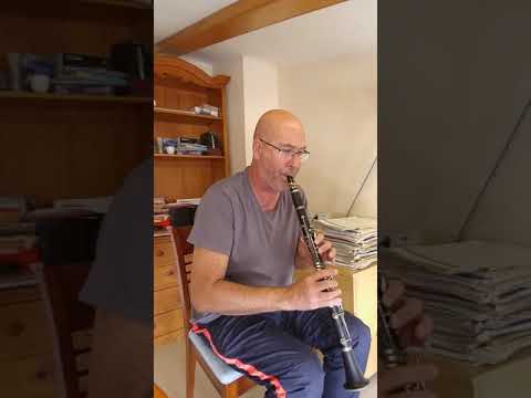 Capricho nº 17 del libro 21 Caprichos de V. Gambaro