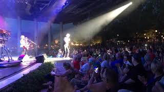 Dennis DeYoung Mr. Roboto 4/8/2019 Epcot