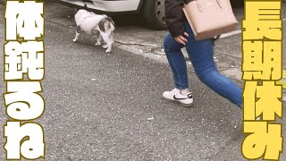 運動不足解消家族🐶