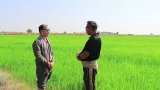 សូមទស្សនានិងស្តាប់ការយល់ឃើញរបស់កសិករអ្នកចូលចិត្តធ្វើសែនក្រអូប