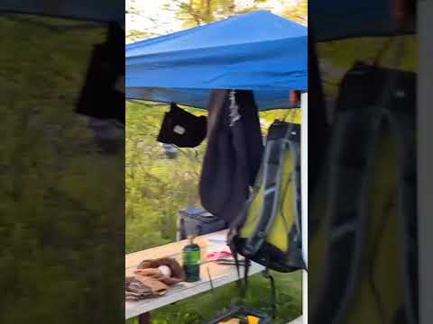 spacious and quiet sites