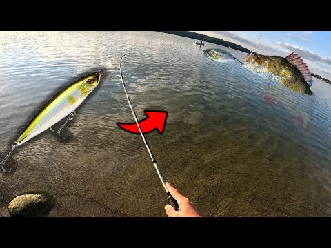 Topwater Eskalation am See!!!