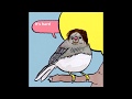 Words that KILL! (Bird Meme)