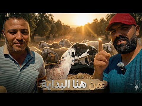 سلالة جديدة دخلت المزرعة! 🔥 تفاصيل الرحلة ومعلومات ذهبية للمربين.