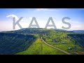 Does Maharashtra Really Have A Valley Of Flowers | A Quick Travel Guide To Kaas Plateau