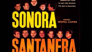 Sonia Lopez  - Ave de Paso