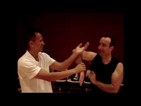 Simply Wing Chun Kuen - Hong Kong Chi Sao 2007
