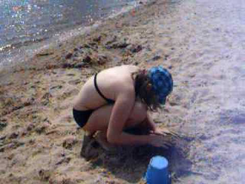 the holly at the beach