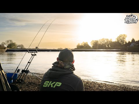 Barbel Fishing Tips and Rigs at Collingham Weir - Catch more Barbel!