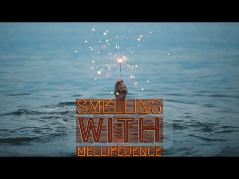 Raw Material Smelling Sampling Attars From Mellifluence Available to Buy On Etsy