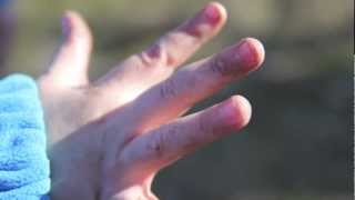 Spinning Wheels - Springtime