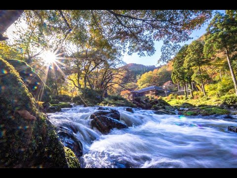Se você quiser ver as folhas de outono, este é o melhor lugar da prefeitura! "Aramata Gorge" [Kano Hakkei] Cidade de Komatsu, Prefeitura de Ishikawa