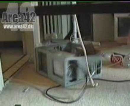 Fogeden Kommer! Tower bash