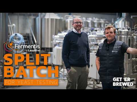 How Fermentis Uses Split Batches To Test Yeast