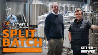 How Fermentis Uses Split Batches to Test Yeast