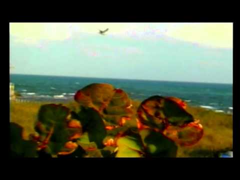 Let's Play Kelly Slater Bonus Video 1: Sebastian and Trestles Cutscenes