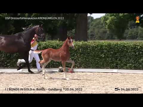 KN 1: Hengstfohlen v. Bonds/Goldberg