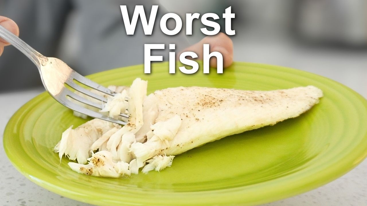 Ranking EVERY Costco Frozen Fish